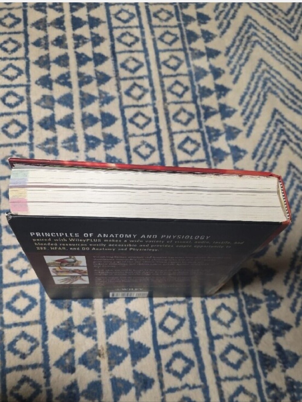 Principles of Anatomy and Physiology - Red Hardcover Textbook - Picture 4 of 5